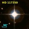 HD 117350