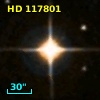 HD 117801