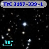 TYC 3187-339-1