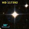 HD 117392