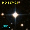 HD 117424