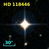 HD 118446
