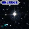 HD 195916