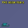 TYC 6134-718-1