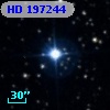 HD 197244