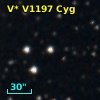 V* V1197 Cyg