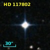 HD 117802