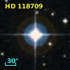 HD 118709