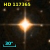 HD 117365