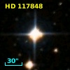 HD 117848