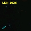LDN 1036