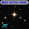 IRAS 13274-2844