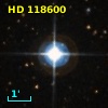 HD 118600