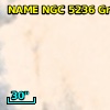 NAME NGC 5236 GROUP
