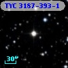 TYC 3187-393-1