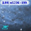 [L99] n5236-199