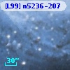 [L99] n5236-207