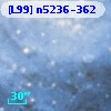 [L99] n5236-362