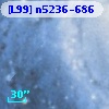 [L99] n5236-686