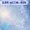 [L99] n5236-859