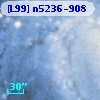 [L99] n5236-908