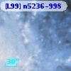 [L99] n5236-998
