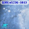[L99] n5236-1013