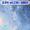 [L99] n5236-1063