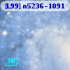 [L99] n5236-1091