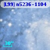 [L99] n5236-1104