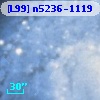 [L99] n5236-1119