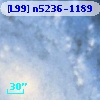 [L99] n5236-1189