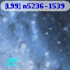 [L99] n5236-1539