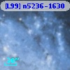 [L99] n5236-1630