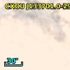 CXOU J133701.0-295056