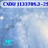 CXOU J133708.3-295126