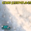 CXOU J133707.0-295320