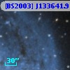 [BS2003] J133641.9-294935.1