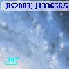 [BS2003] J133656.5-295007.9