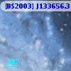 [BS2003] J133656.3-294931.1