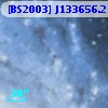 [BS2003] J133656.2-294934.4