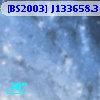 [BS2003] J133658.3-294925.6