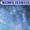 [BS2003] J133657.8-294850.5