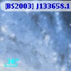 [BS2003] J133658.1-294942.1