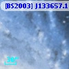 [BS2003] J133657.1-294949.0