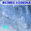 [BS2003] J133658.8-294938.3
