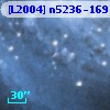 [L2004] n5236-169