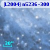 [L2004] n5236-300
