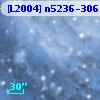 [L2004] n5236-306
