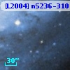 [L2004] n5236-310